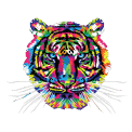 Vagmine Colours